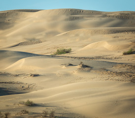 The sand Dunes in western Arizona are like a large sand box for playing in. People ride ATVs there and camp. The sand drifts into soft looking mounds and geometric patterns