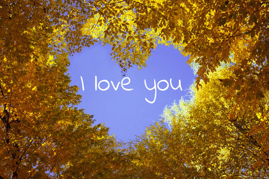 Heart from autumn leaves with blue sky on background