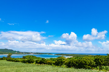 Fototapeta premium 沖縄石垣島 川平湾