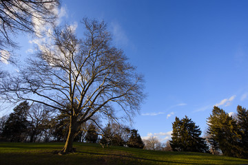 Central Park New York