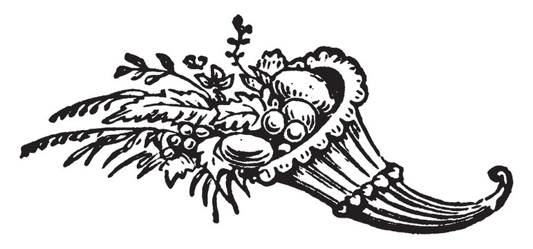 Cornicopia, vintage illustration