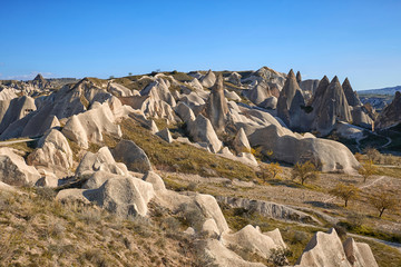 Mountain landscape in a short summer season in the afternoon.