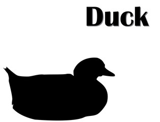Black silhouette of duck sitting, white background