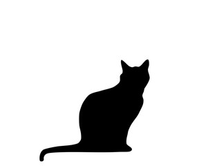 Cat black silhouette sitting, white background, vector
