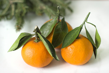 fresh tangerines with green leaves