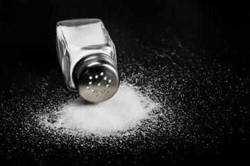 Salt Shaker