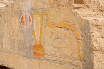 Egyptian hieroglyphic carvings. Hatsheput Temple in Luxor, Egypt