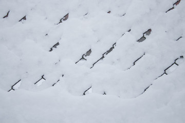 grid in the snow,the fence from the grid was covered with snow