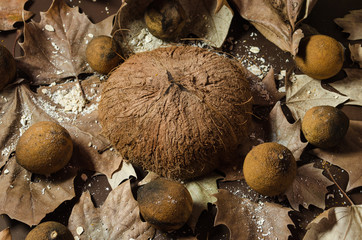 Coconut dry in half on a brown background