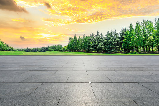 Empty city square floor and green woods scenery at sunset