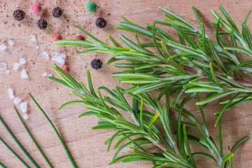 Spices. Salt, pepper, chives and rosemary