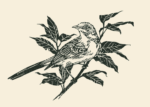 Bird on Branch. Engraving Linocut Style. Vector illustration
