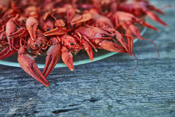 Crawfish cooked and served on wooden background