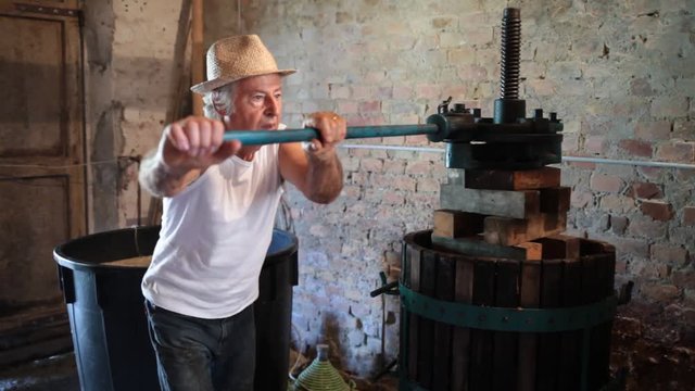 Grape harvest: senior farmer working on a wine press . Old cellar background