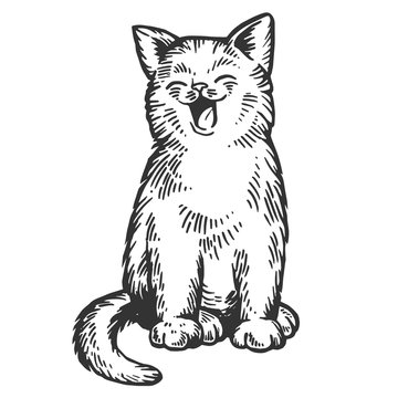 recommend clip art: Yawning cat engraving vector illustration. Scratch board style imitation. Black and white hand drawn image.