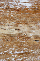 wood grungy background with space for your design