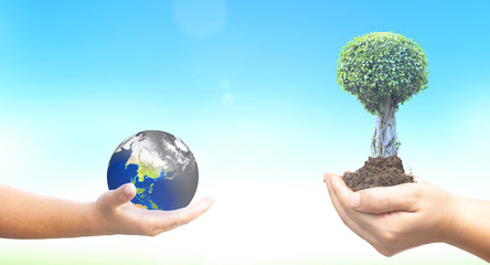 World Environment Day concept: holding polluted earth and green trees on blue nature background
