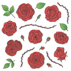 Vector set of red rose flowers with buds, leaves and thorny stems contours isolated on the white background. Hand drawn floral collection of blossoms in sketchy style.