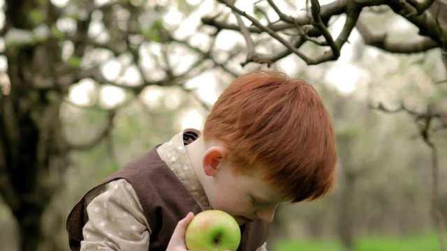 Portrait of a happy laughing redhead boy who eats a juicy apple in a blooming garden in slow motion