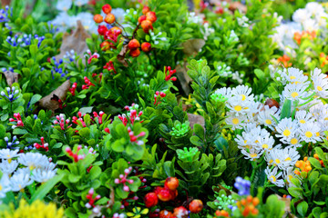 Bouquet of flowers photo