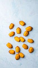 Madeleine Pastry Traditional French Pastry On a Blue Wooden Background Dessert Sweet Citrus Flavor Orange Peel Copy space for Text