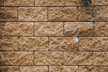 Close up rough brick of prefabricated wall with green algae or Lichen