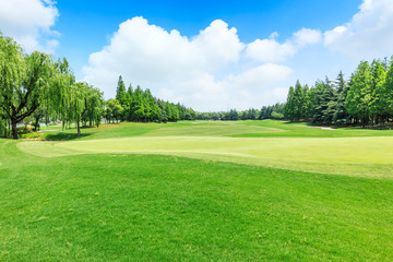 Green meadow and woods nature landscape in summer