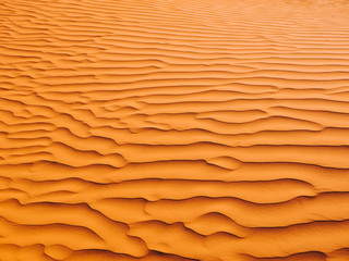 Fototapeta na wymiar Close-up of a Sand dune