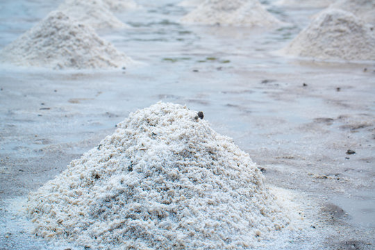 Close up pile of raw salt at salt field. salt agriculture before ssalt saturation process in  factory. imafe for background, copy space and backdrop