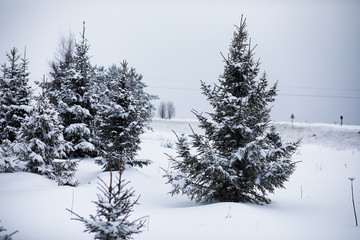 Landscape in the winter cloudy day