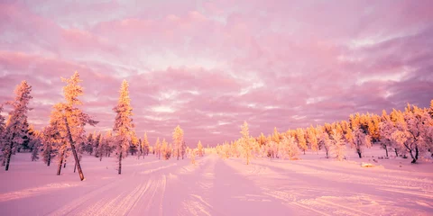 Zelfklevend Fotobehang Sneeuwlandschap, roze zonsonderganglicht, bevroren bomen in de winter in Saariselka, Lapland, Finland © Delphotostock
