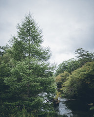奥日光ハイキング　戦場ヶ原