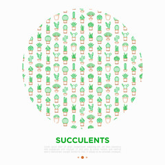 Cactus and succelents in pots concept in circle with thin line icons. Modern vector illustration, web page template for shop of plants.