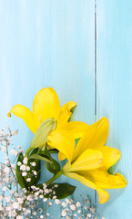 yellow flowers on a blue wood background