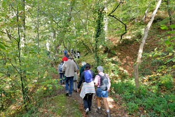 Obraz premium Groupe de randonneurs seniors dans les bois de Bretagne en automne