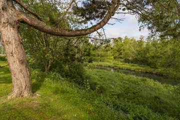 Le Parc d'Isle à Saint-Quentin (02)