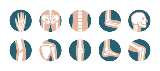 Set of human joints and bones. Vector knee, leg, pelvis, scapula, skull, elbow, foot and hand icons. Orthopedic and skeleton symbols on white background - obrazy, fototapety, plakaty