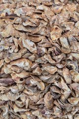 Open oyster shell on beach, Normandy, France