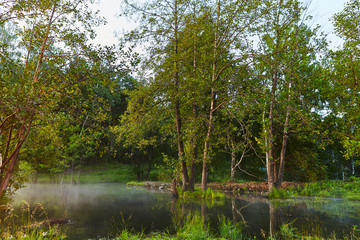 Morning fog at north lake