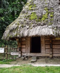 Drewniana chata, Lwów Ukraina - obrazy, fototapety, plakaty