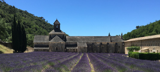 Architecture Delight