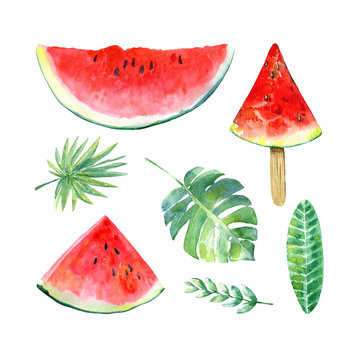 Postcard with watermelon, palm and monstera floral.Fruit picture.Watercolor hand drawn illustration.White background.