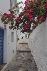 old street in santorini island greece