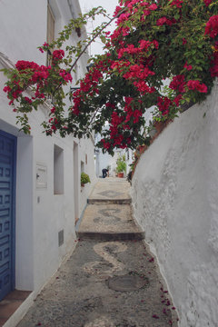 old street in santorini island greece © Marcus