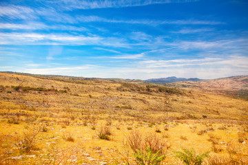 steppe and mountains