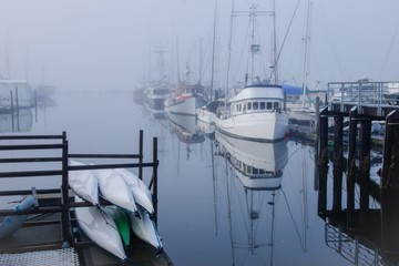 Foggy morning at the marina in Washington State - 224530335