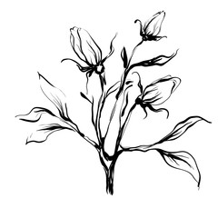 Decorative, hand drawn flower isolated on white background, vector illustration