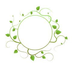 Vector. Round green frame with curls and green leaves isolated on white background