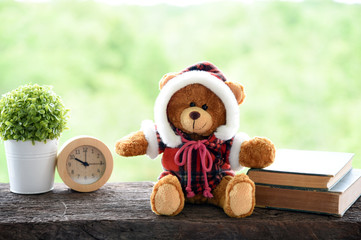 Teddy Bear On the old wood table green nature background