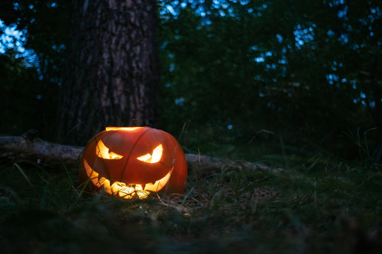 Helluin pumpkin with a lantern in a dark forest